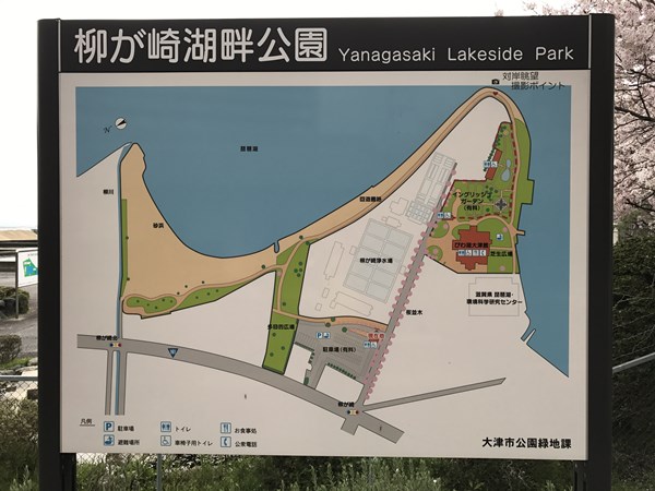 琵琶湖バス釣り