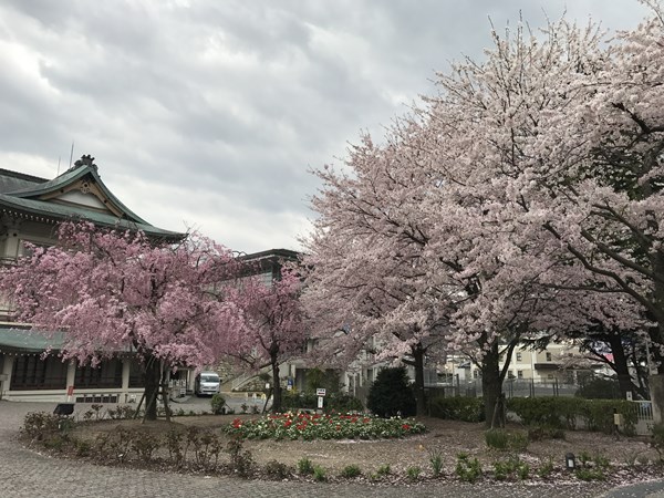 琵琶湖バス釣り