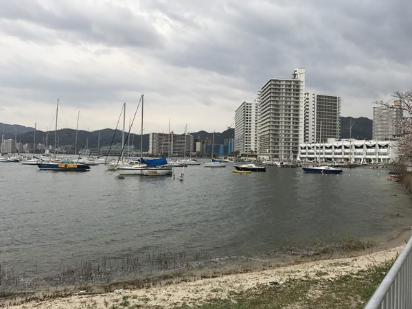 琵琶湖バス釣り