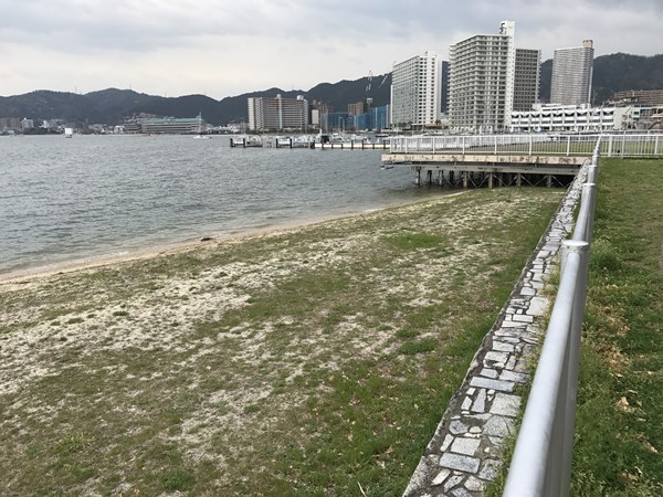 琵琶湖バス釣り