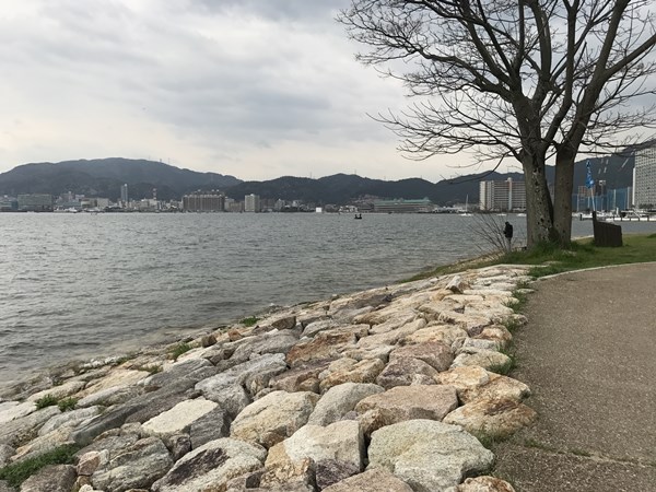 琵琶湖バス釣り