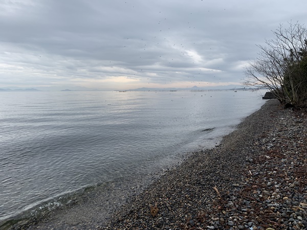 琵琶湖バス釣りポイント