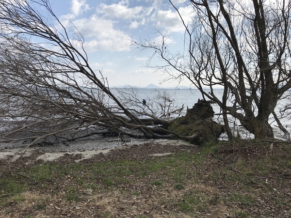 琵琶湖バス釣り