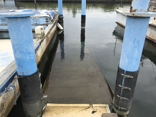 琵琶湖バス釣りポイント