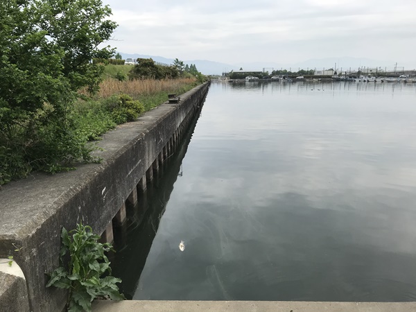 琵琶湖バス釣りポイント