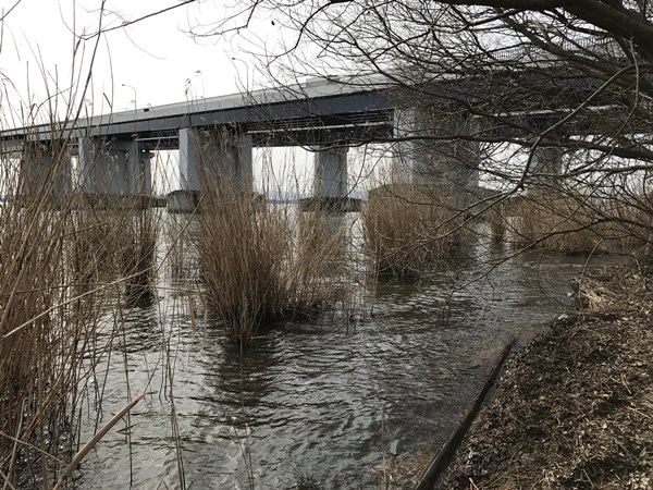 琵琶湖バス釣りポイント 米プラ