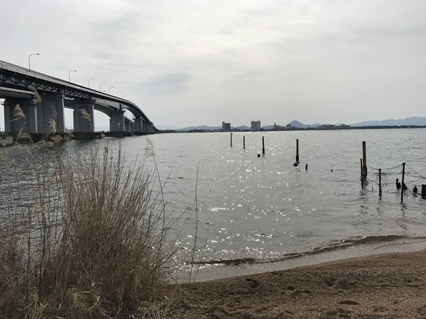 琵琶湖バス釣りポイント 米プラ