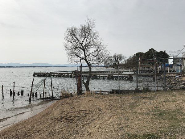 琵琶湖バス釣りポイント 米プラ