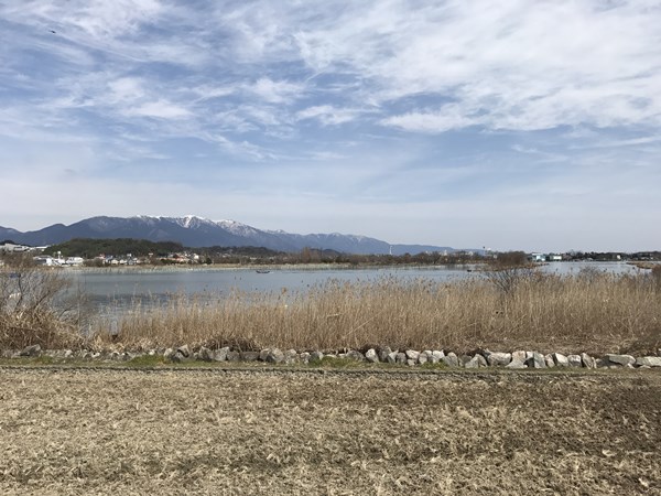 琵琶湖バス釣りポイント　雄琴川河口