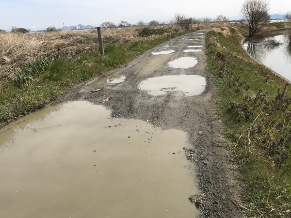 琵琶湖バス釣りポイント　雄琴川河口