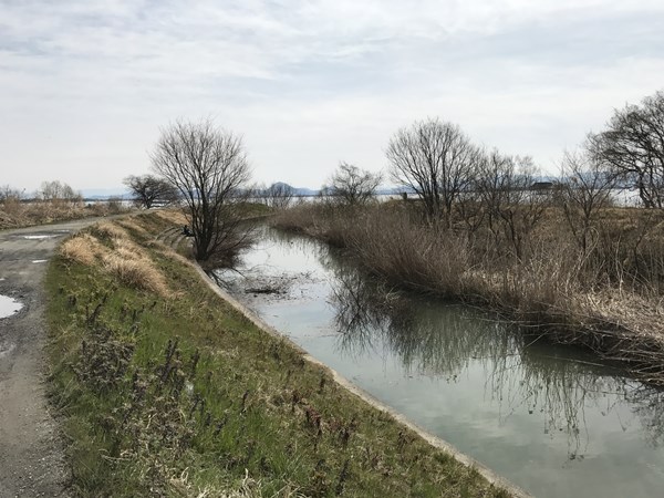琵琶湖バス釣りポイント　雄琴川河口