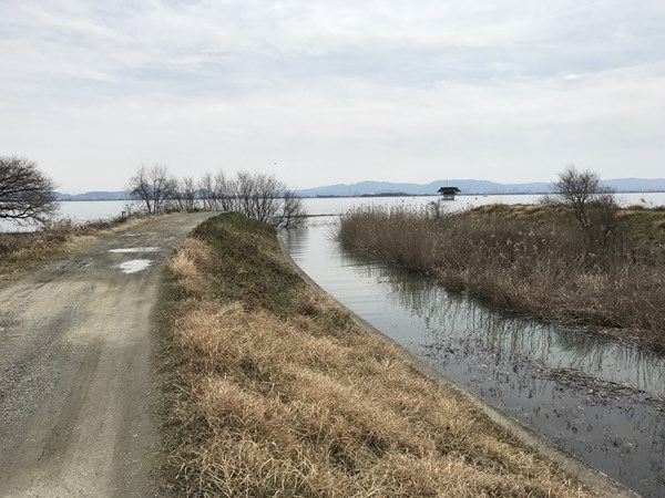 琵琶湖バス釣りポイント　雄琴川河口