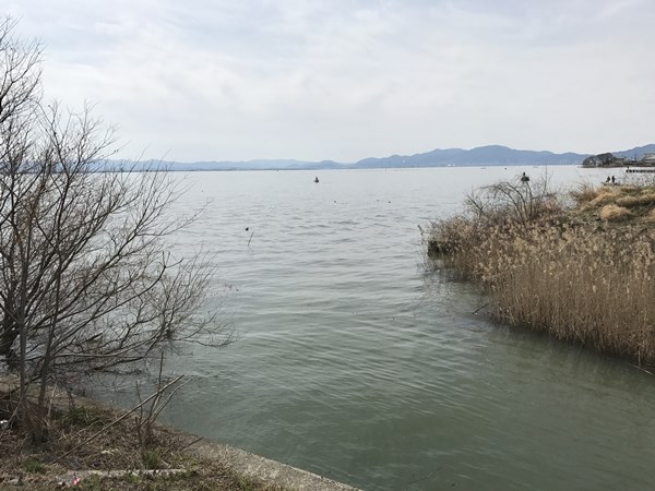 琵琶湖バス釣りポイント　雄琴川河口