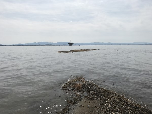 琵琶湖バス釣りポイント　雄琴川河口