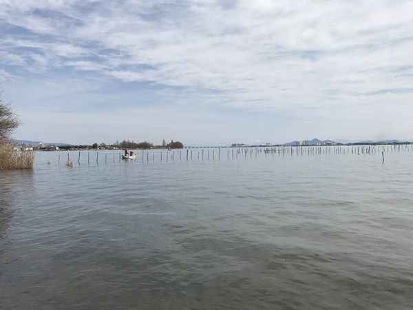 琵琶湖バス釣りポイント　雄琴川河口