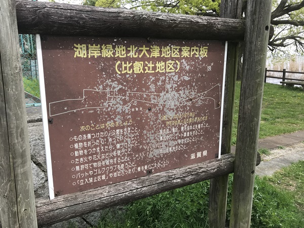 琵琶湖バス釣りポイント