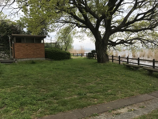 琵琶湖バス釣りポイント