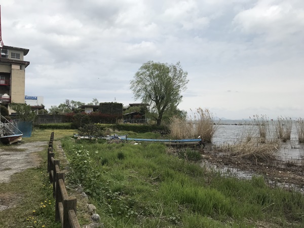 琵琶湖バス釣りポイント