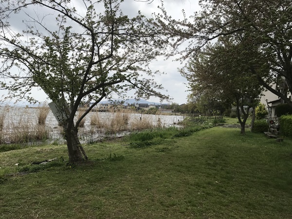 琵琶湖バス釣りポイント