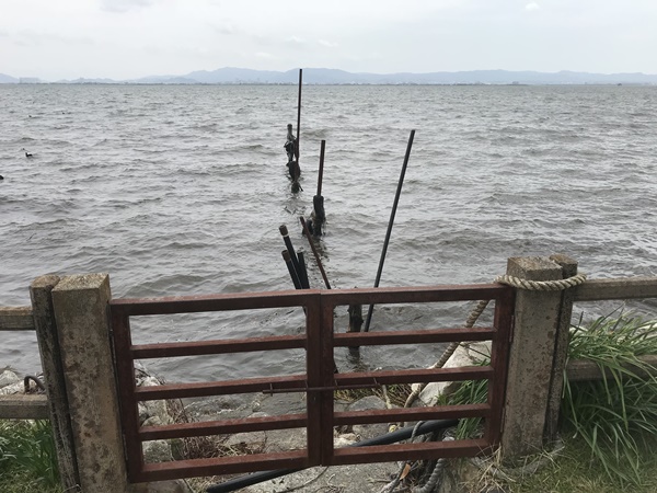 琵琶湖バス釣りポイント