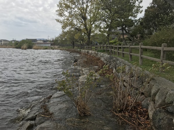 琵琶湖バス釣りポイント