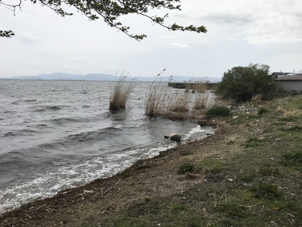 琵琶湖バス釣りポイント