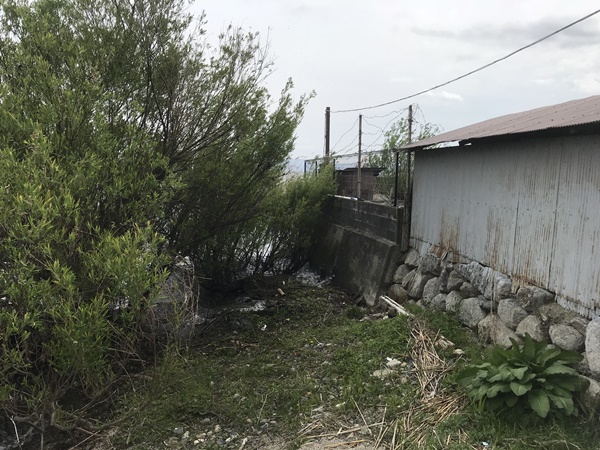 琵琶湖バス釣りポイント