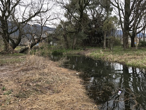 琵琶湖バス釣りポイント　坂本