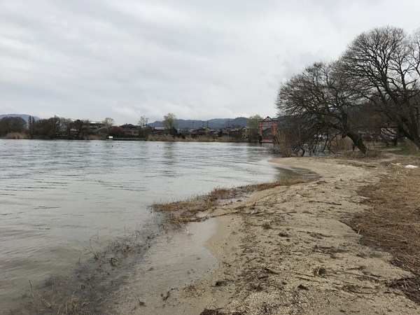 琵琶湖バス釣りポイント　坂本