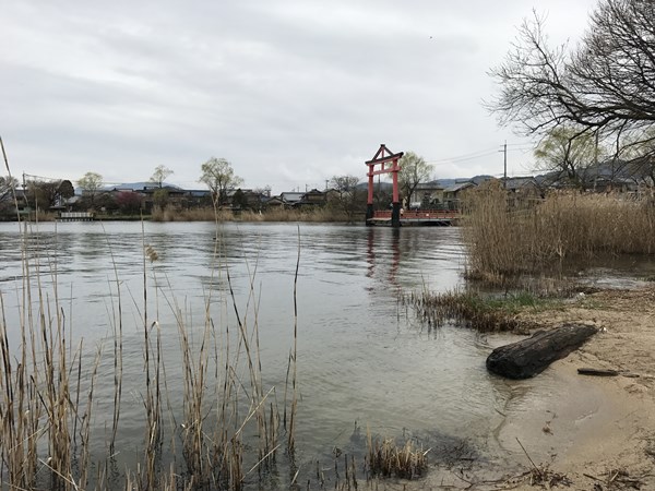 琵琶湖バス釣りポイント　坂本