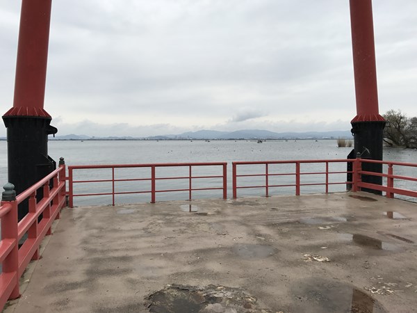 琵琶湖バス釣りポイント　坂本