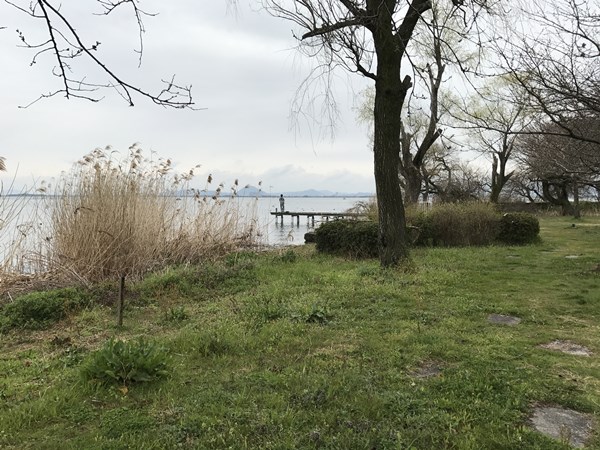 琵琶湖バス釣りポイント　坂本