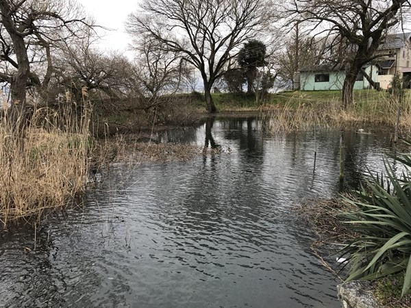 琵琶湖バス釣りポイント　坂本