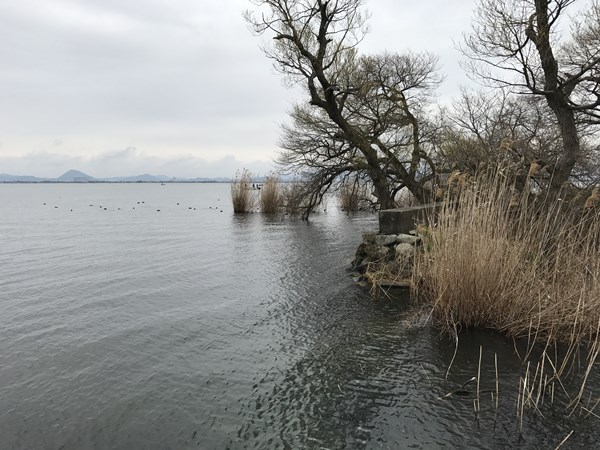 琵琶湖バス釣りポイント　坂本