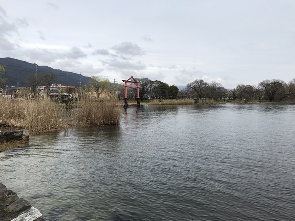 琵琶湖バス釣りポイント　坂本