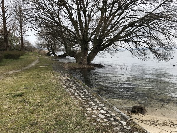 琵琶湖バス釣りポイント　坂本