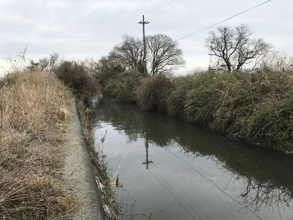 琵琶湖バス釣りポイント　高橋川河口