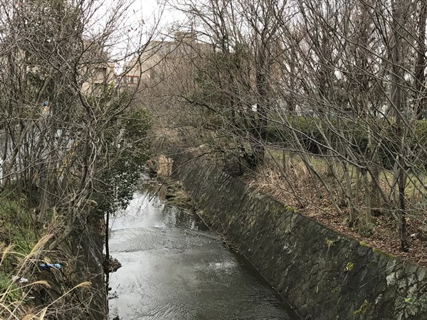 琵琶湖バス釣りポイント　高橋川河口