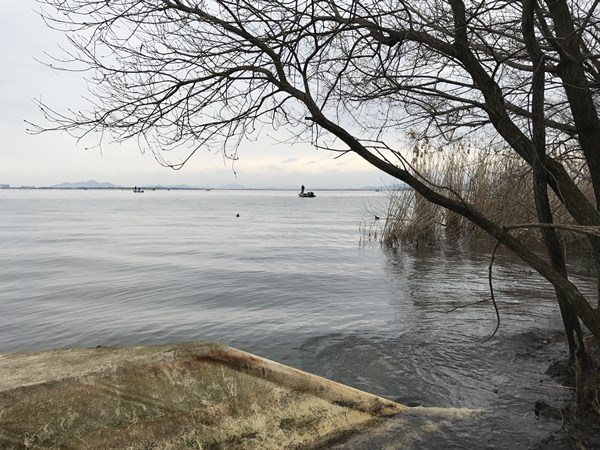 琵琶湖バス釣りポイント　高橋川河口