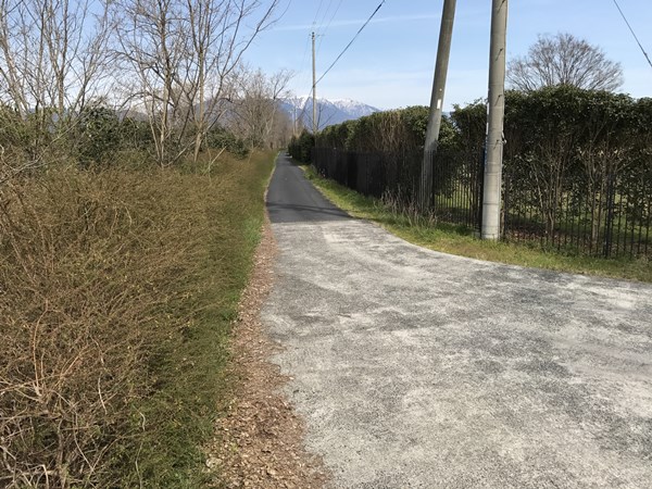 琵琶湖バス釣りポイント　天神川