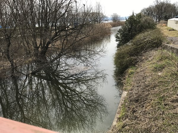 琵琶湖バス釣りポイント　天神川