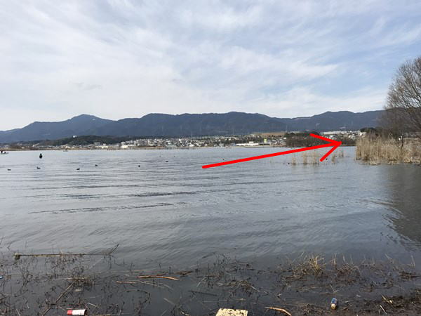 琵琶湖バス釣りポイント　天神川