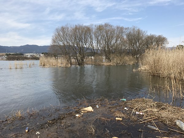 琵琶湖バス釣りポイント　天神川