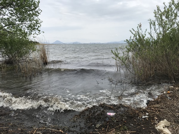 琵琶湖バス釣りポイント
