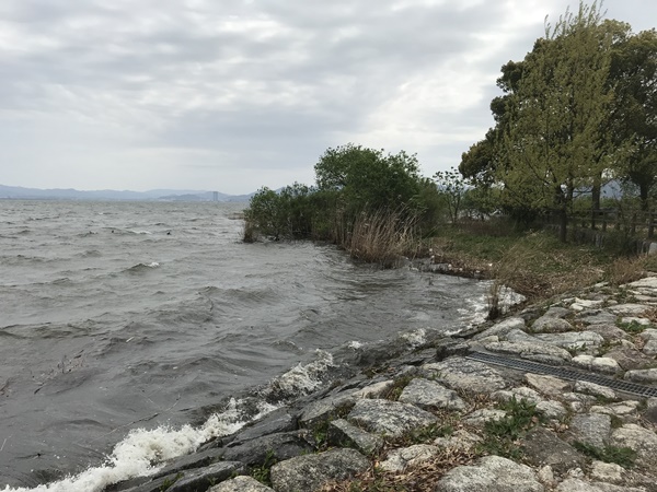 琵琶湖バス釣りポイント