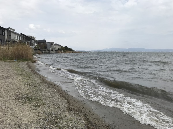 琵琶湖バス釣りポイント