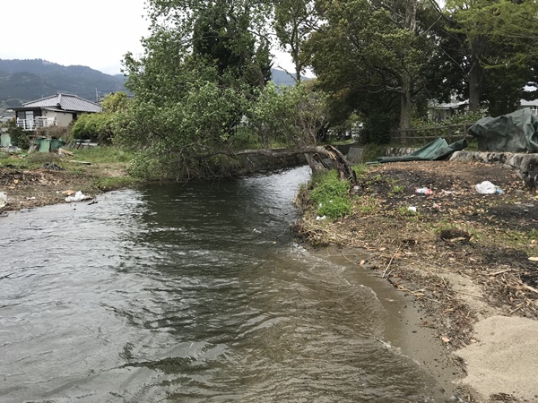 琵琶湖バス釣りポイント