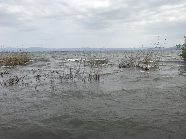 琵琶湖バス釣りポイント