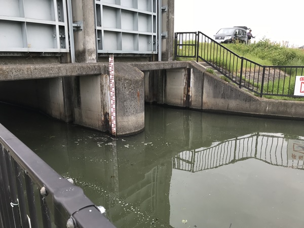 琵琶湖バス釣り