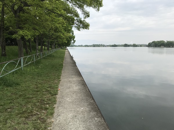 琵琶湖バス釣り